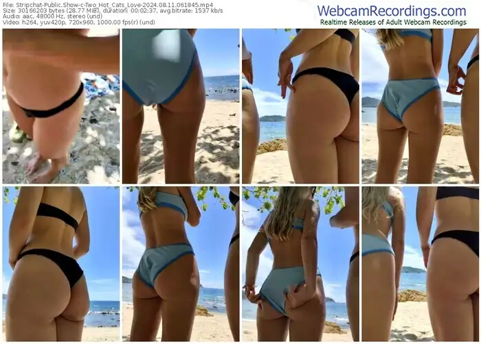 2024/08/11/stripchat-two_hot_cats_love-06-18-45
