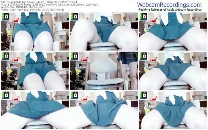 2024/08/11/stripchat-_math_-05-32-02