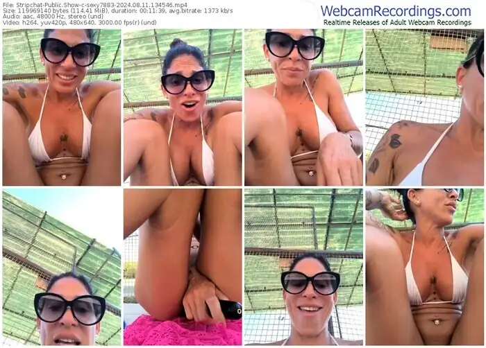 2024/08/11/stripchat-sexy7883-13-45-46
