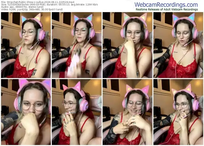 2024/08/11/stripchat-sullye-22-35-24