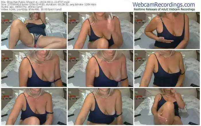 2024/08/11/stripchat--k---11-47-37