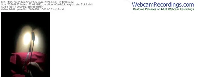 2024/08/11/stripchat-felinae-19-42-38