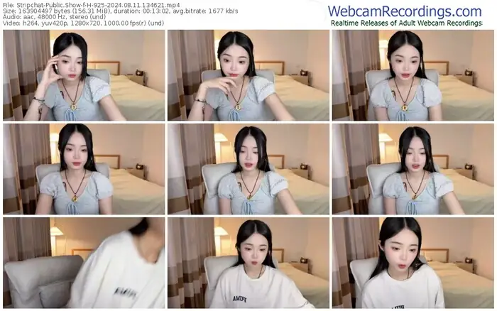 2024/08/11/stripchat-h-925-13-46-21