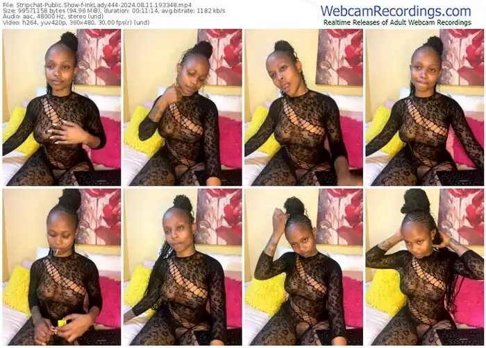 2024/08/11/stripchat-inklady444-19-33-48