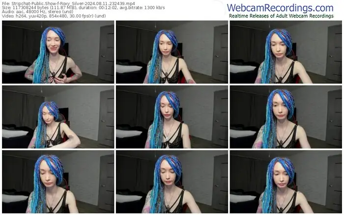 2024/08/11/stripchat-roxy_silver-23-24-39