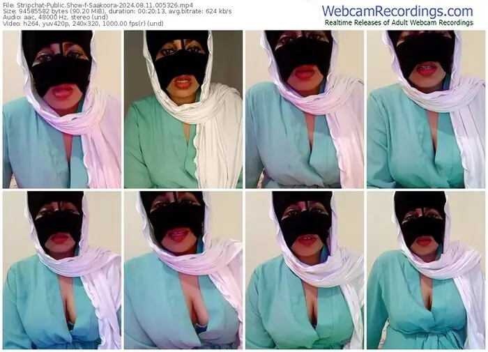 2024/08/11/stripchat-saakoora-00-53-26