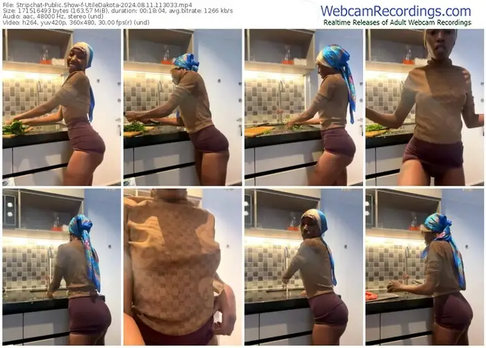 2024/08/11/stripchat-utiledakota-11-30-33