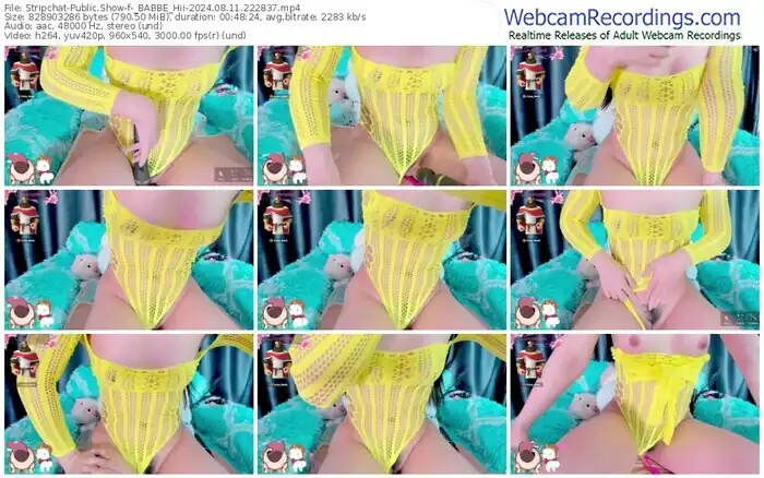 2024/08/11/stripchat-_babbe_hii-22-28-37
