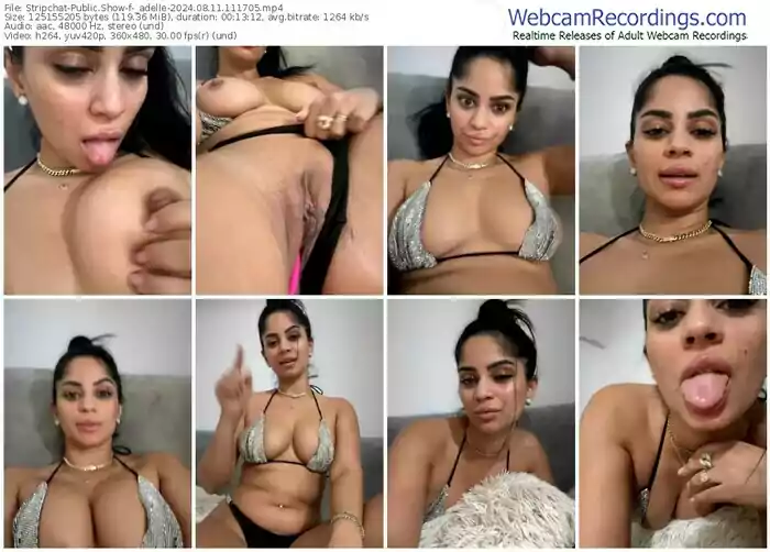 2024/08/11/stripchat-_adelle-11-17-05
