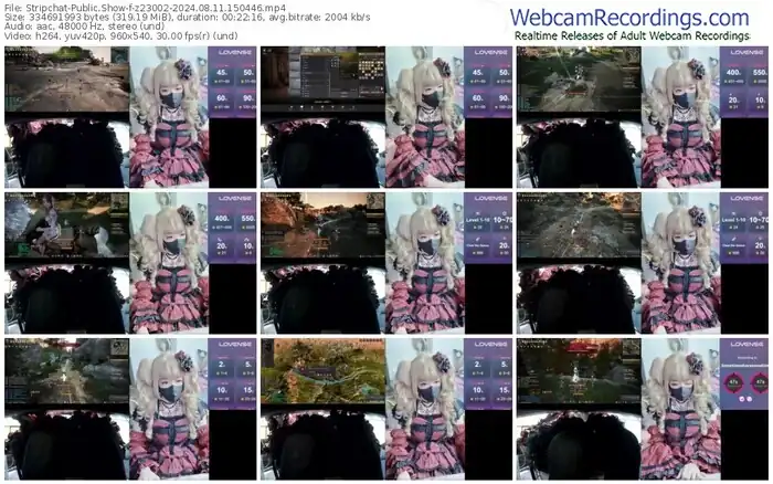 2024/08/11/stripchat-z23002-15-04-46