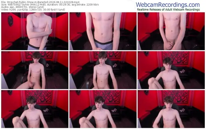 2024/08/11/stripchat-banesoll-02-10-28