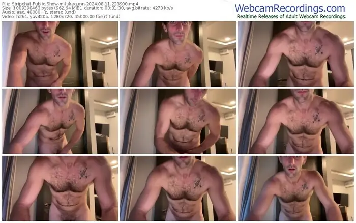 2024/08/11/stripchat-lukegunn-22-39-00