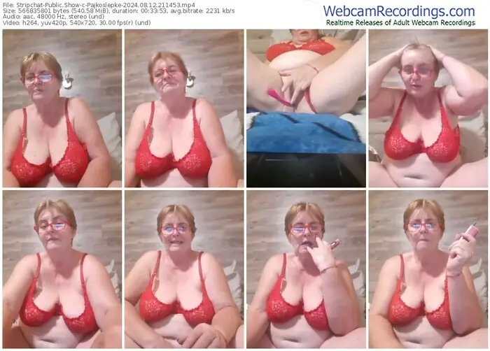 2024/08/12/stripchat-pajkoslepke-21-14-53