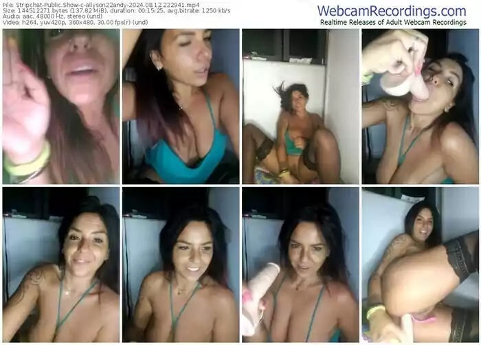 2024/08/12/stripchat-allyson22andy-22-29-41