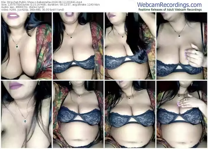 2024/08/12/stripchat-babesneha-20-18-41