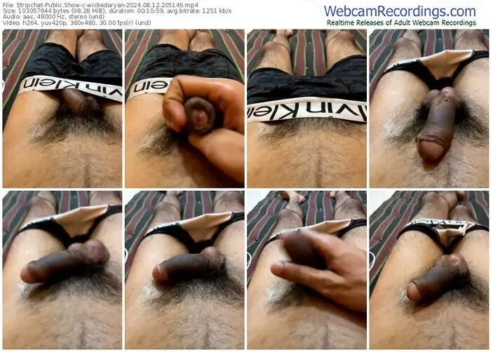 2024/08/12/stripchat-wickedaryan-20-51-46