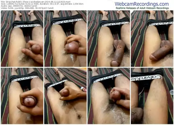 2024/08/12/stripchat-wickedaryan-22-18-23