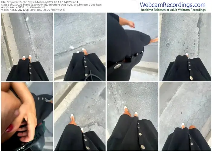 2024/08/12/stripchat-felinae-17-48-23