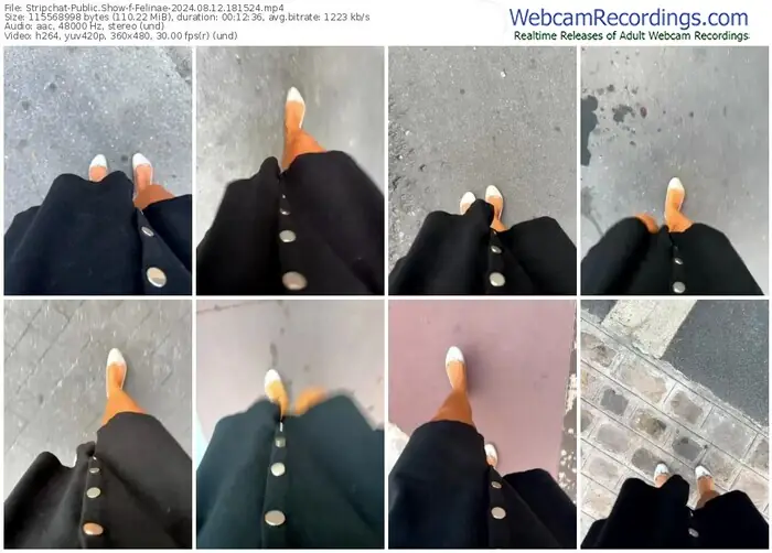 2024/08/12/stripchat-felinae-18-15-24