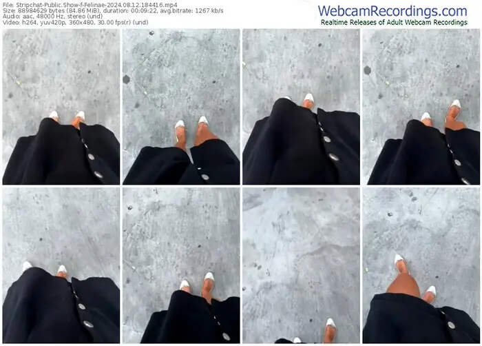 2024/08/12/stripchat-felinae-18-44-16