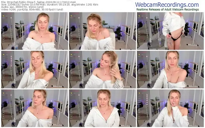 2024/08/12/stripchat-_faptax-17-44-12