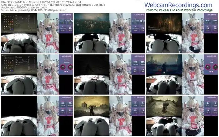 2024/08/12/stripchat-z23002-17-19-41