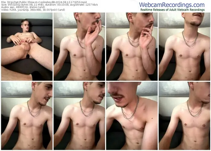 2024/08/12/stripchat-cookieboy88-17-32-53