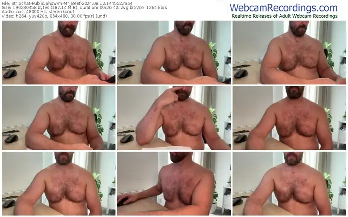 2024/08/12/stripchat-mr_beef-14-45-52
