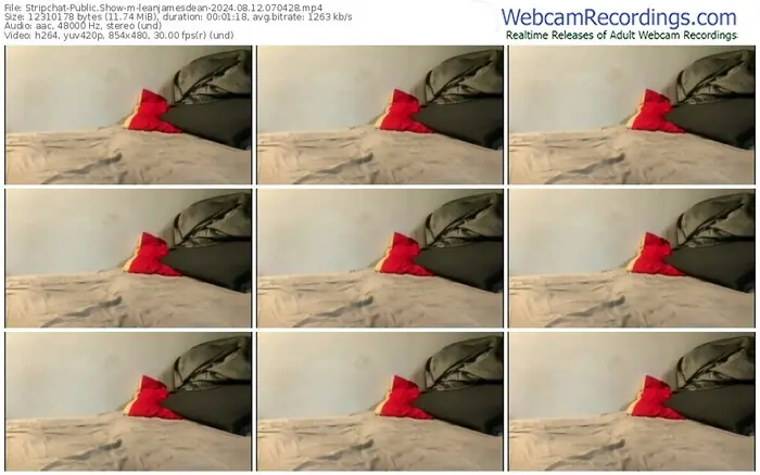 2024/08/12/stripchat-leanjamesdean-07-04-28