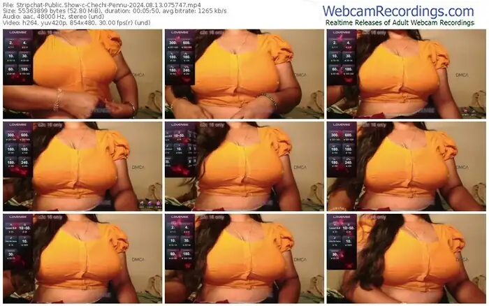 2024/08/13/stripchat-chechi-pennu-07-57-47