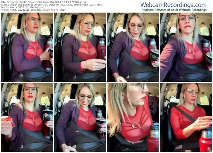 2024/08/13/stripchat-gatitacarlita-17-23-04