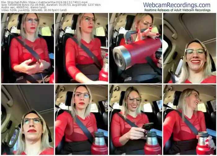 2024/08/13/stripchat-gatitacarlita-17-40-11