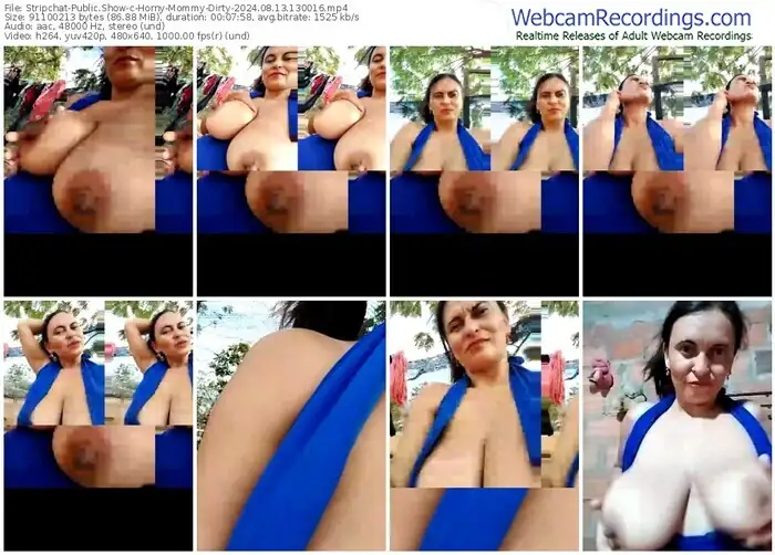2024/08/13/stripchat-horny-mommy-dirty-13-00-16