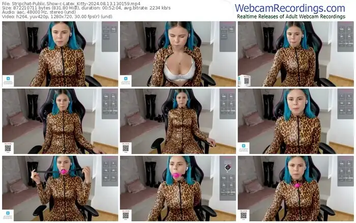 2024/08/13/stripchat-latex_kitty-13-01-59