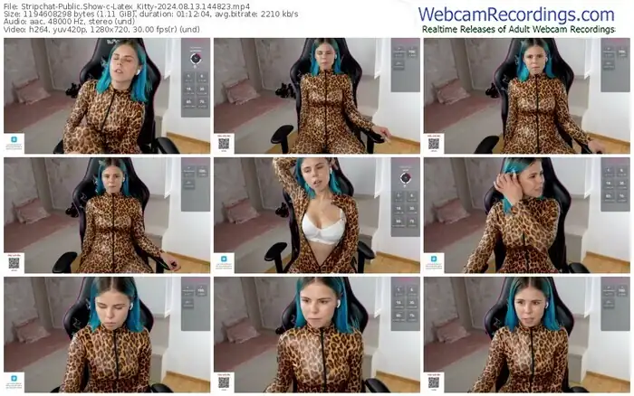 2024/08/13/stripchat-latex_kitty-14-48-23