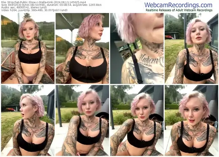 2024/08/13/stripchat-stella-kink-14-56-25