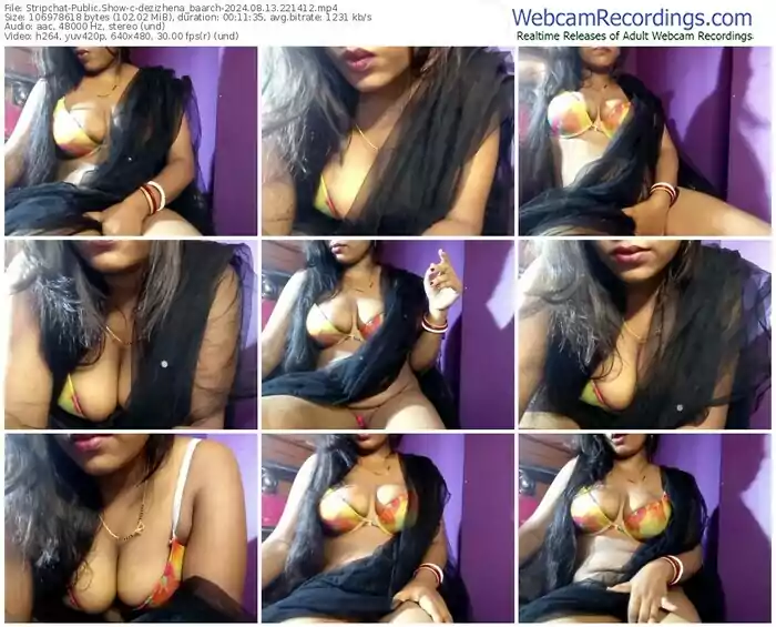 2024/08/13/stripchat-dezizhena_baarch-22-14-12