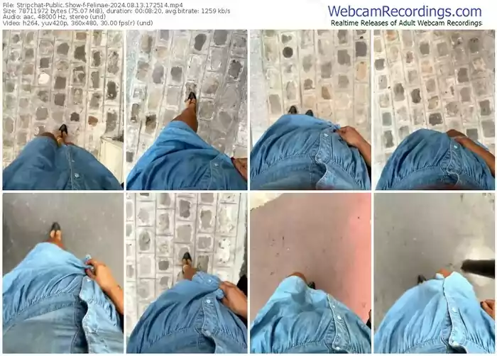 2024/08/13/stripchat-felinae-17-25-14