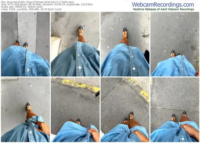 2024/08/13/stripchat-felinae-17-39-26