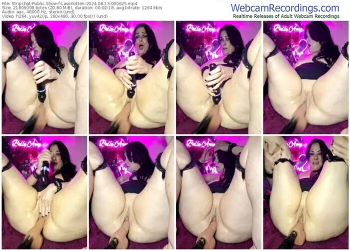2024/08/13/stripchat-laserkitten-00-06-25
