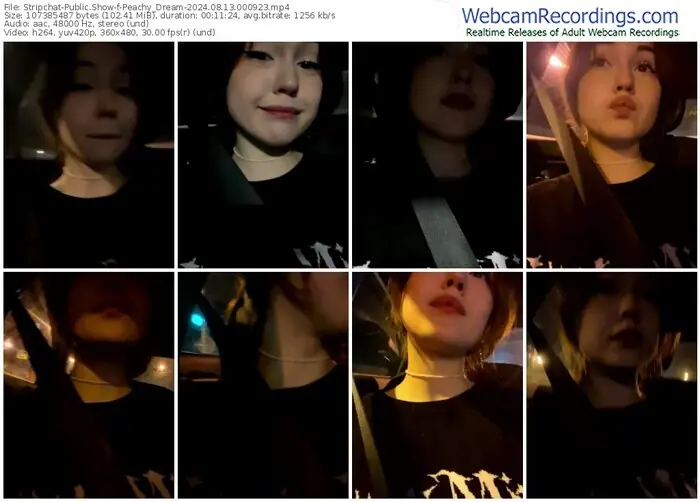 2024/08/13/stripchat-peachy_dream-00-09-23