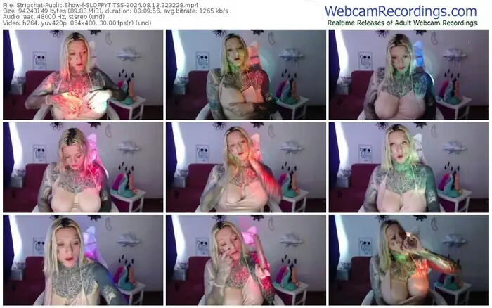 2024/08/13/stripchat-sloppytitss-22-32-28