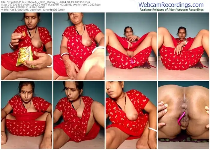 2024/08/13/stripchat-_-_wet__bunny_-_-10-33-16