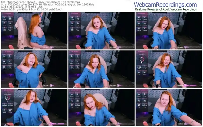 2024/08/13/stripchat-_honey_fox-18-03-32