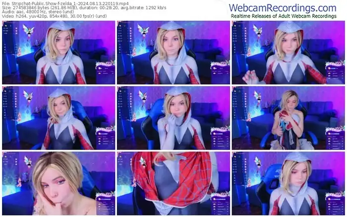 2024/08/13/stripchat-zelda_1-22-01-19