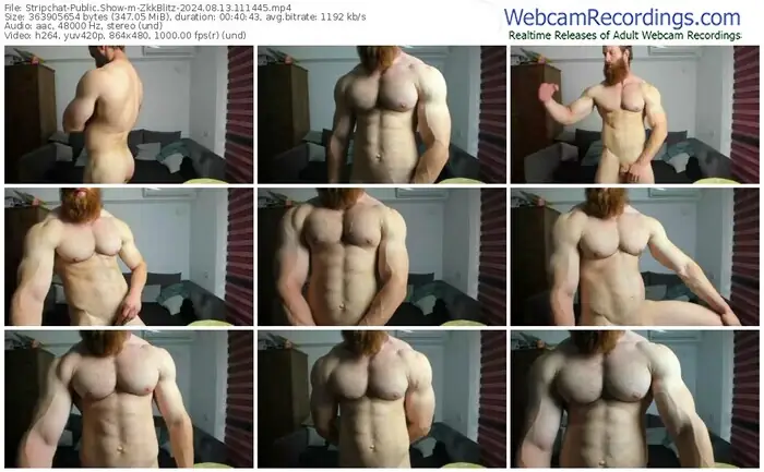 2024/08/13/stripchat-zkkblitz-11-14-45