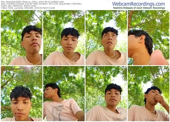 2024/08/13/stripchat-_ottis_-16-48-20