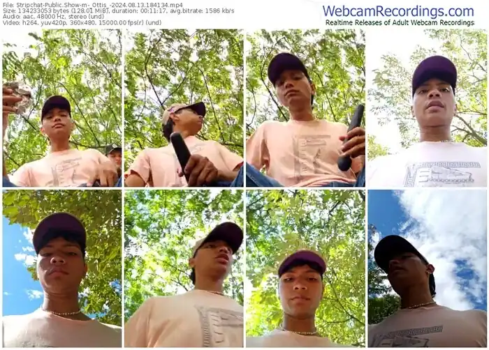 2024/08/13/stripchat-_ottis_-18-41-34