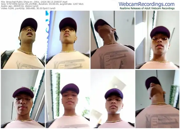 2024/08/13/stripchat-_ottis_-20-40-37