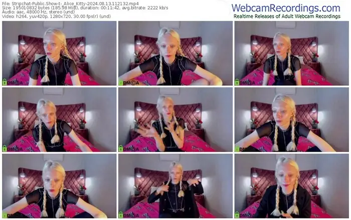 2024/08/13/stripchat-_alice_kitty-11-21-32